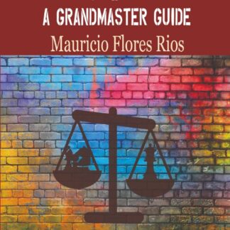 Chess Imbalances - A Grandmaster Guide